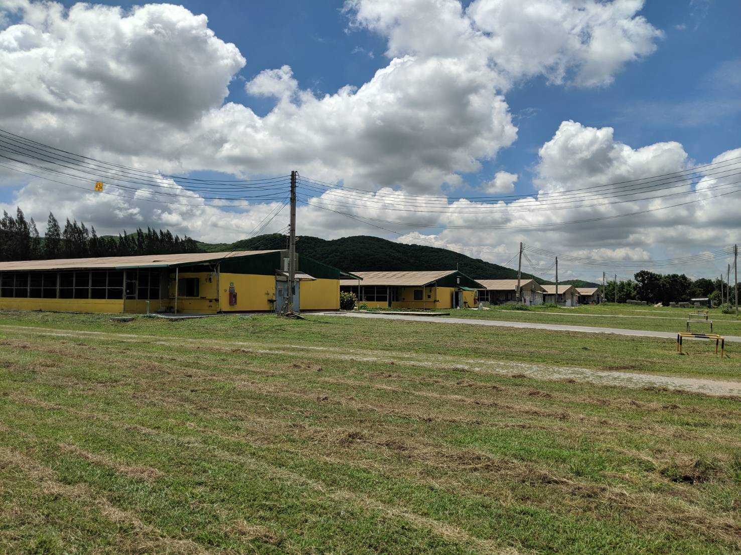 CP Foods unveils cage-free farm with animal welfare at heart